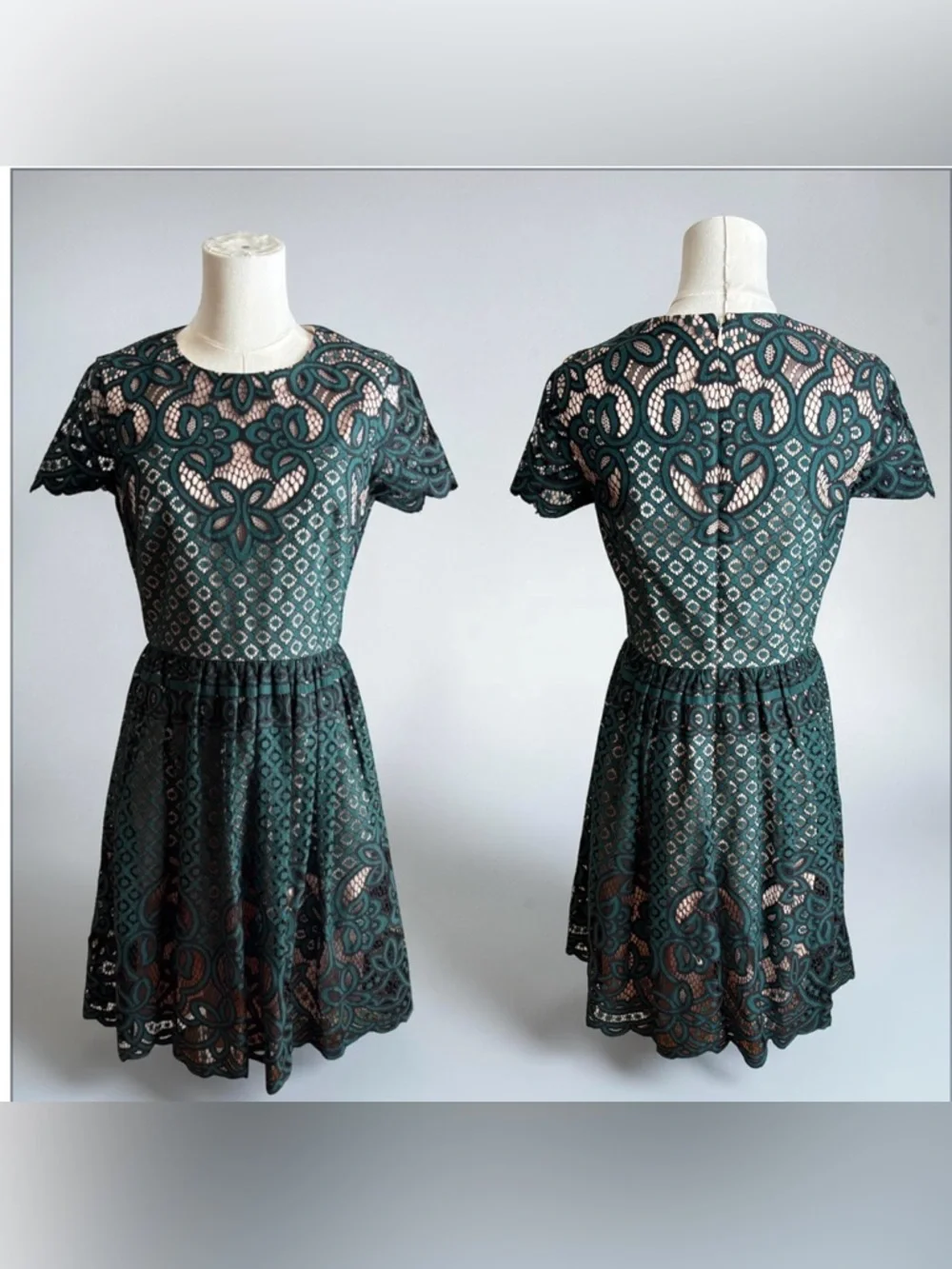 Eliza J Lace Fit-and-Flare Dress in Dark Green - Picture 3 of 6
